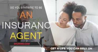 Insurance Agents: Stats for Success
