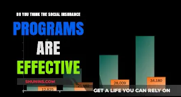 Are Social Insurance Programs Truly Effective? A Critical Analysis