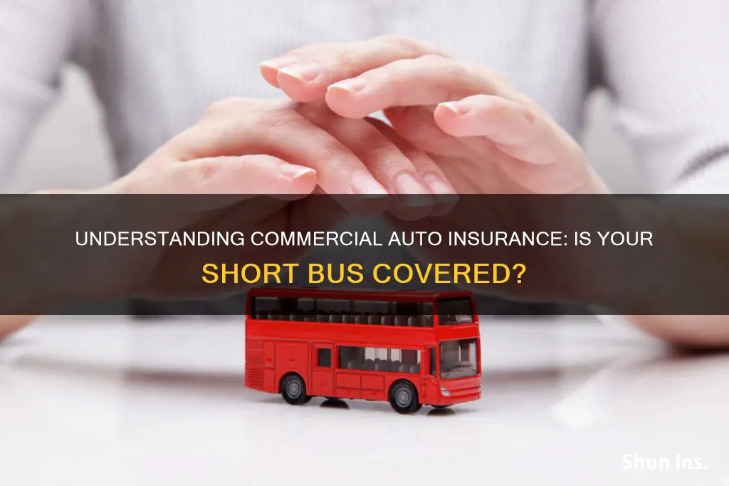 do youneed commercial auto insurance on my shortbus