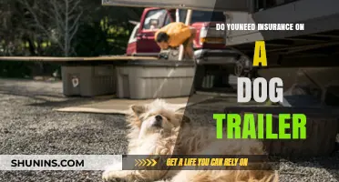 Is Dog Trailer Insurance Necessary? What Pet Owners Should Know