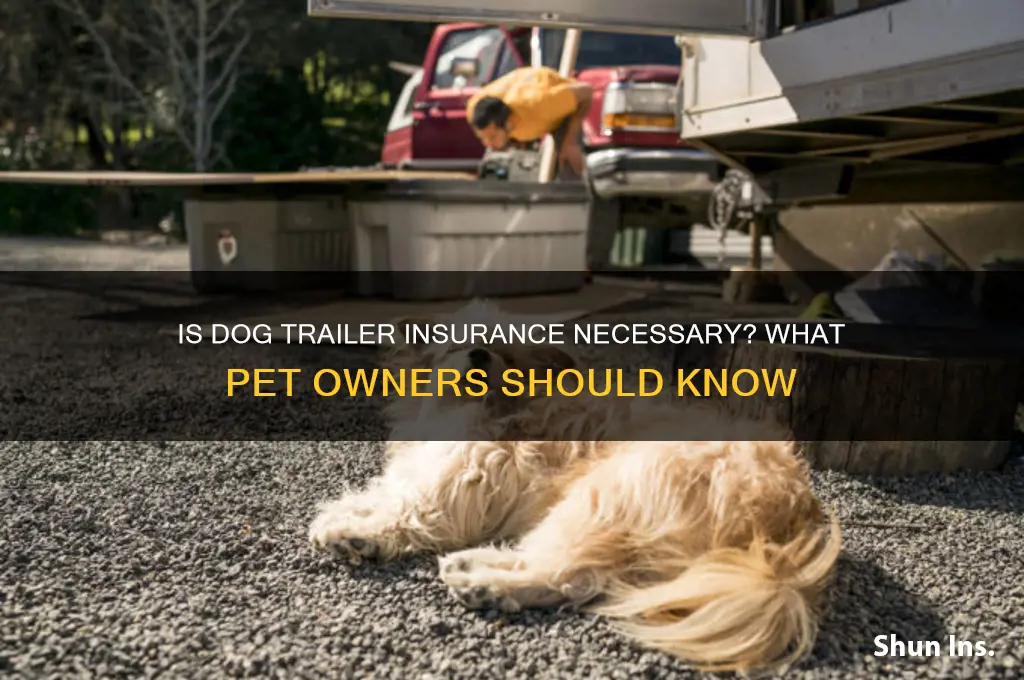 do youneed insurance on a dog trailer