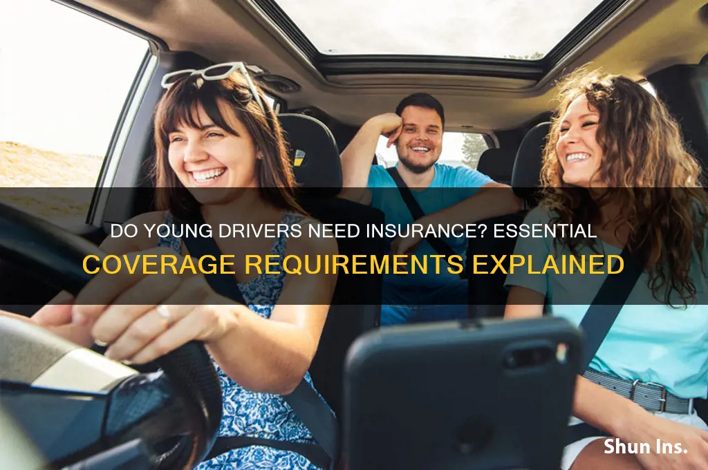 do young drivers have to have insurance