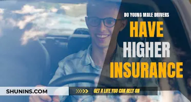 Young Male Drivers: The Insurance Conundrum