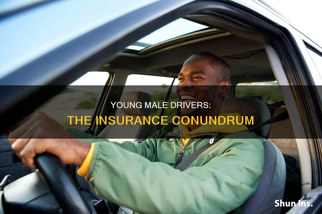 do young male drivers have higher insurance