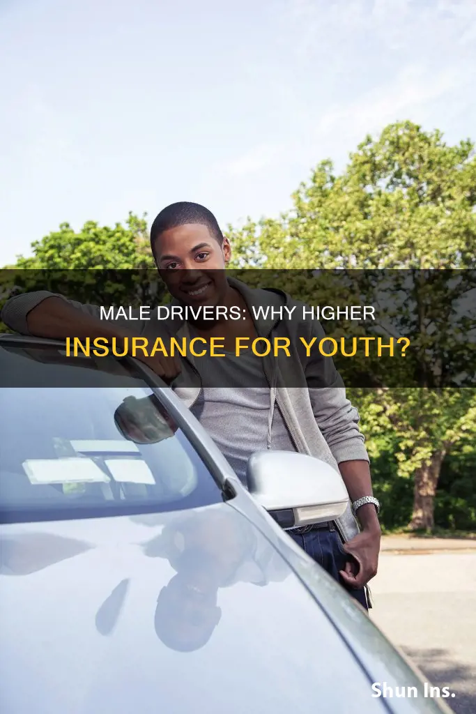 do young male drivers have higher insurance