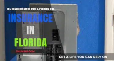 Zinisco Breakers: Florida Insurance Headache?