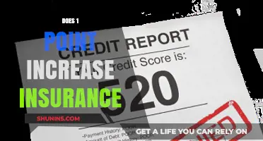 Does a Single-Point Increase in Credit Score Affect Car Insurance Rates?