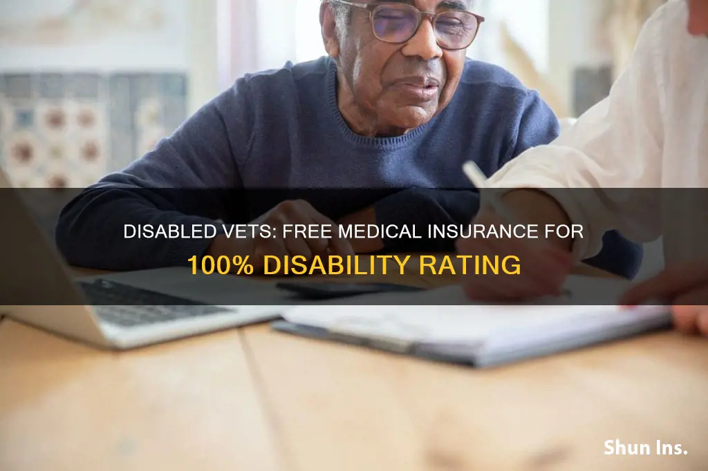 does 100 percent disabled vets get free medical insurance