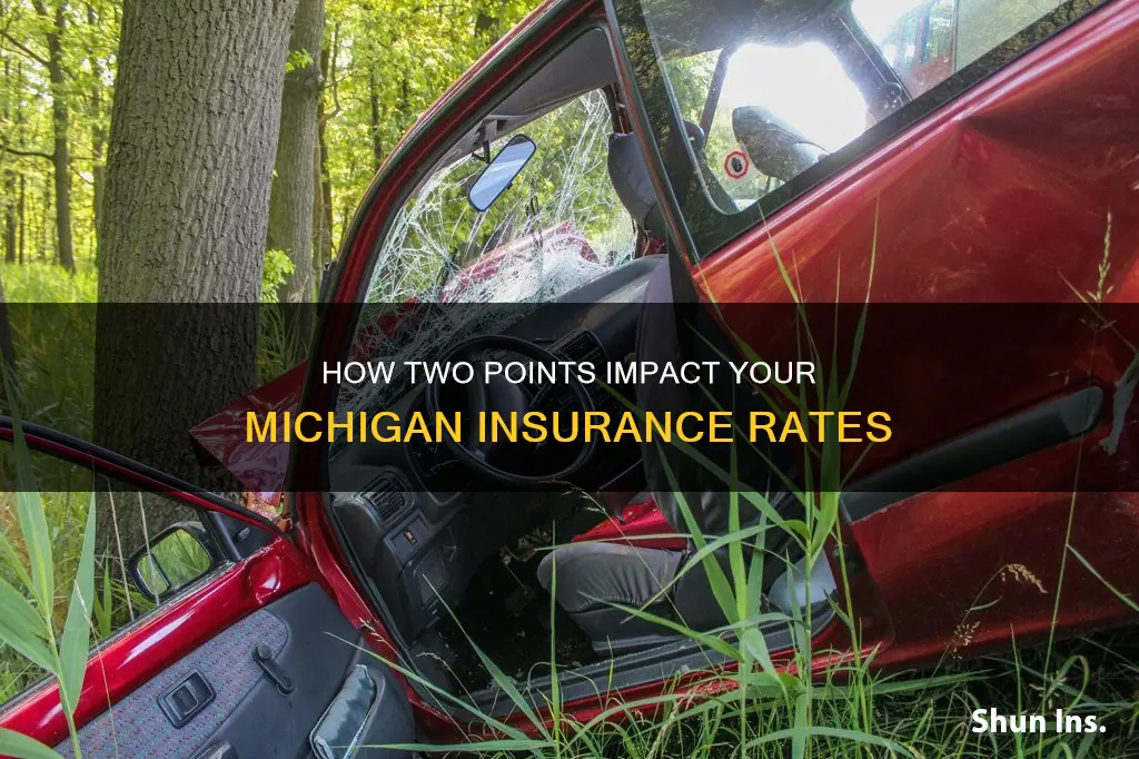 does 2 points affect your insurance in Michigan