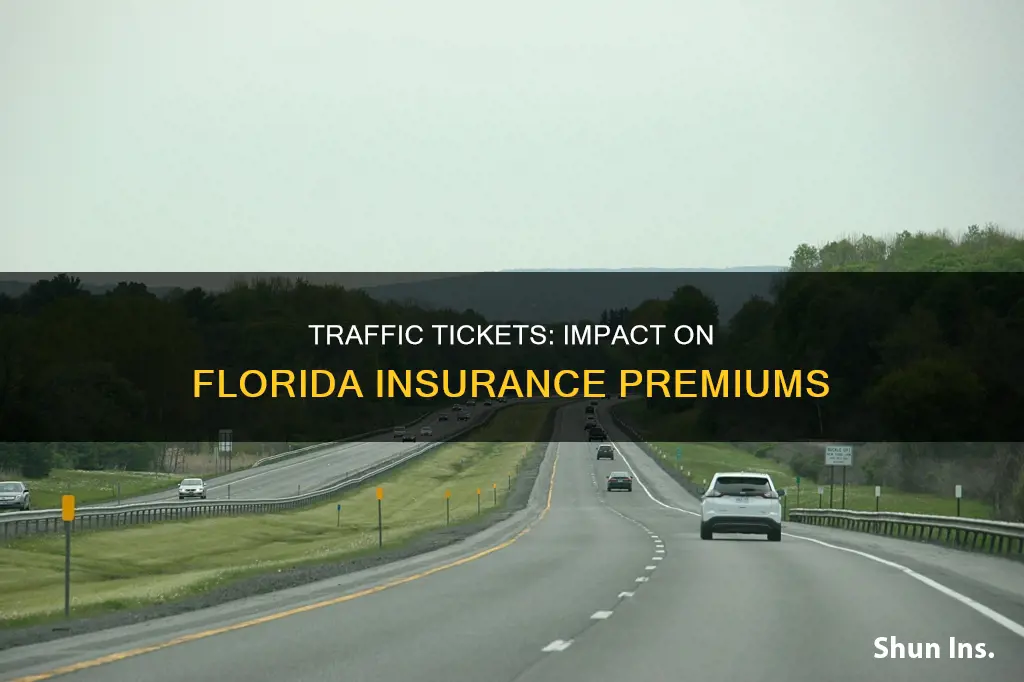 does 3 points affect my insurance in Florida