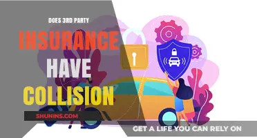 Does Third-Party Insurance Cover Collision Damage? Key Facts Explained