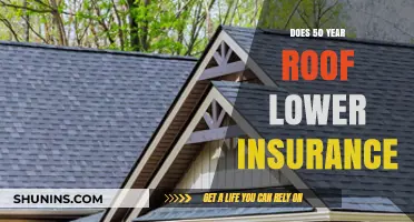 Can a 50-Year Roof Reduce Your Home Insurance Premiums?