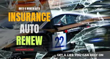 Six-Month Auto Insurance: The Auto-Renewal Question