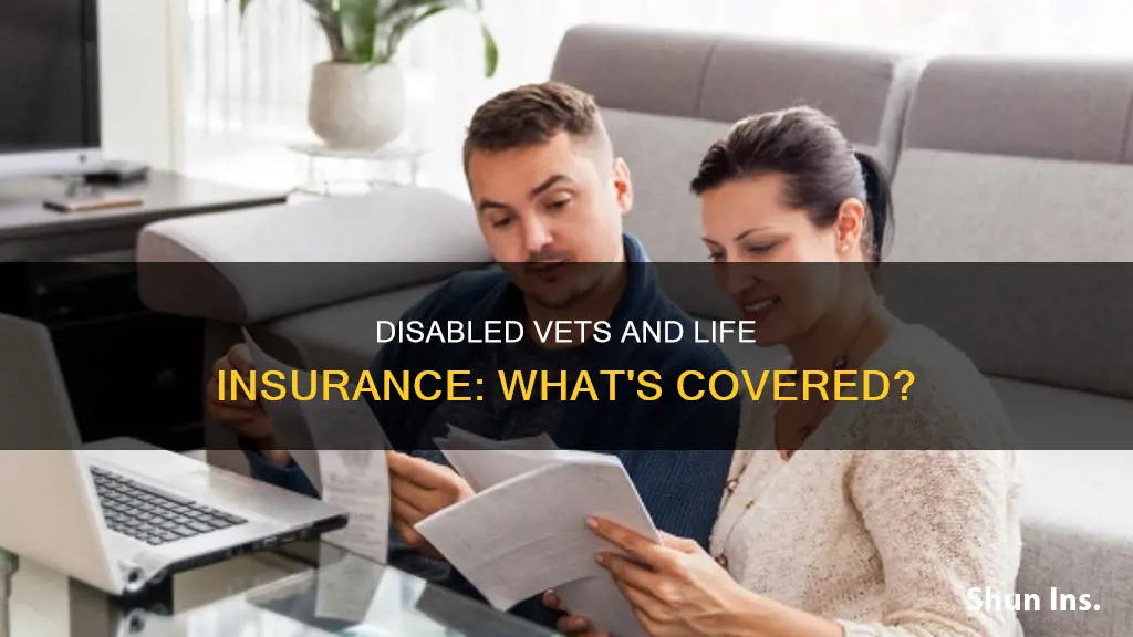 does a 100 disabledvet have life insurance