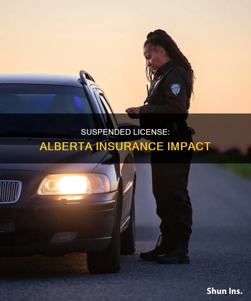 does a 24 hour suspension affect insurance alberta