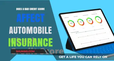 Credit Score Impact: Auto Insurance Rates Revealed