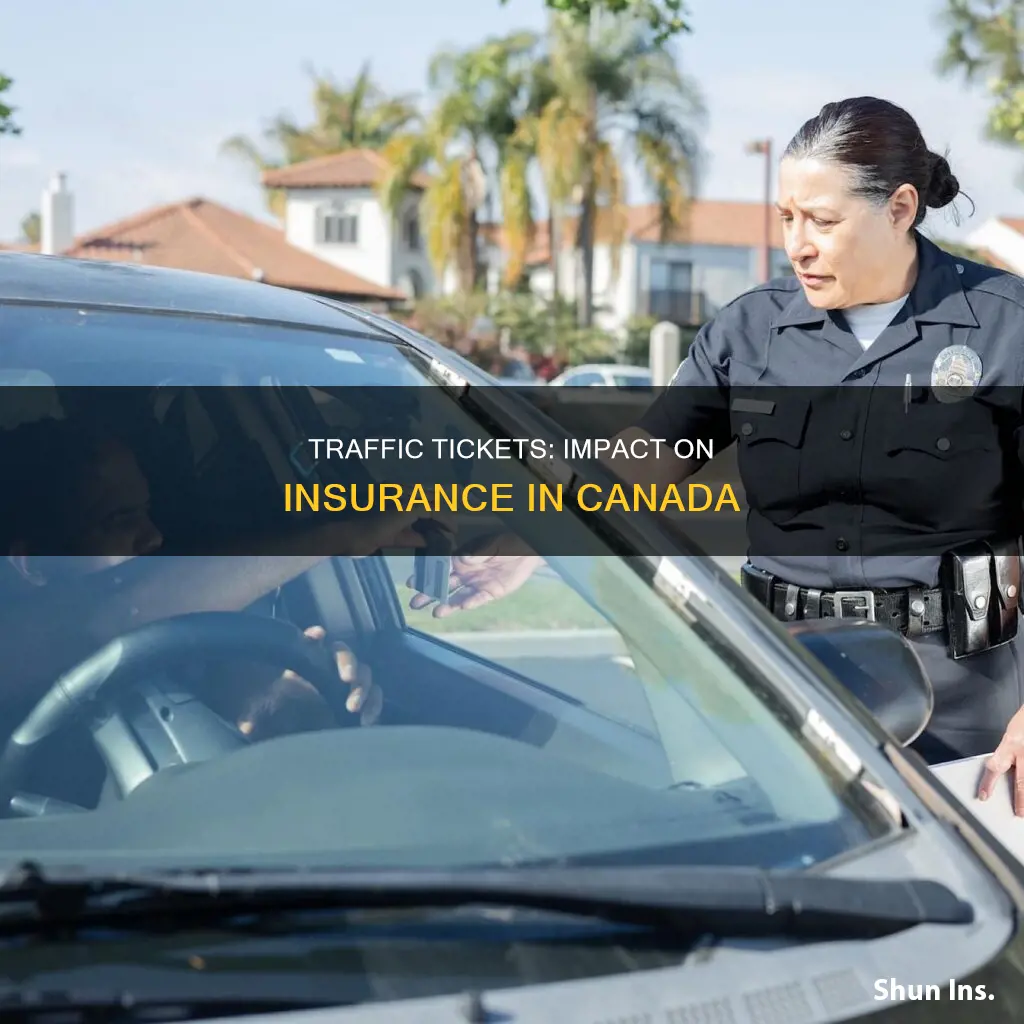 does a canadian traffic infraction affect insurance