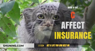 How a Cat C Affects Your Car Insurance Rates
