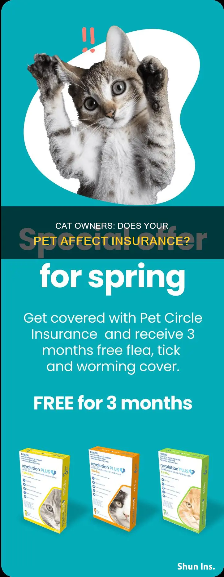 does a cat s affect insurance