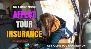 How Cat Seat Belt Citations Impact Your Insurance Rates