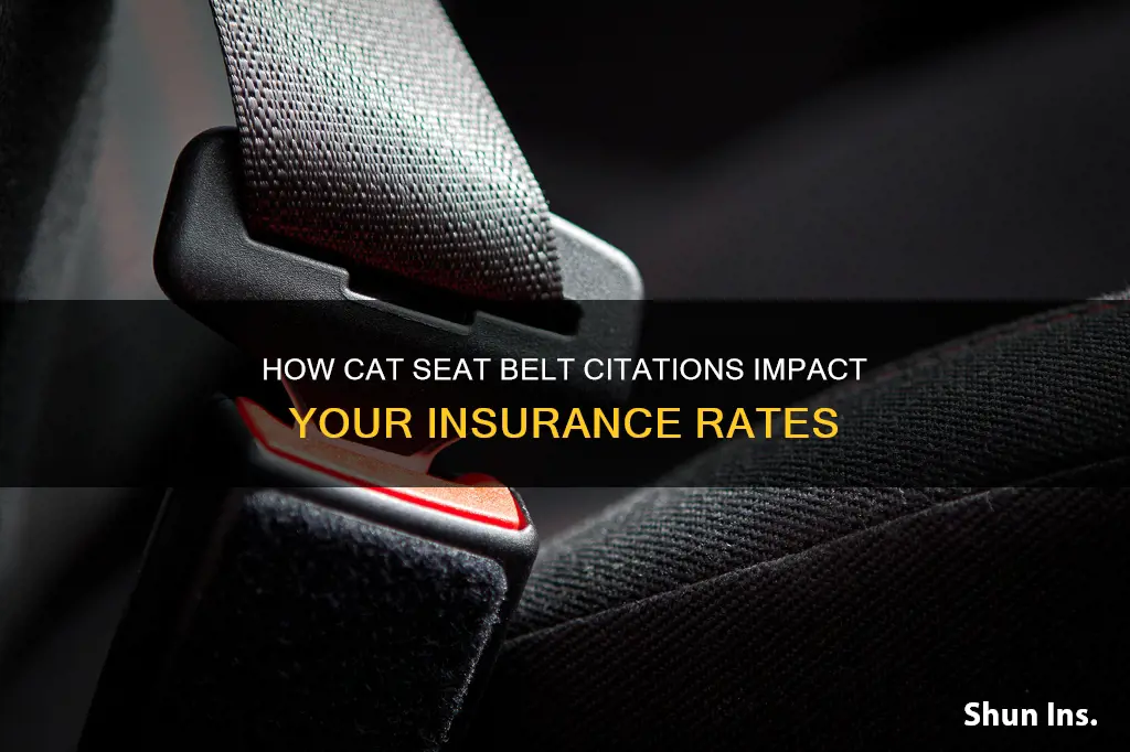 does a cat seat citation affect your insurance