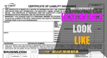 What Does a Certificate of Insurance Look Like? A Quick Guide