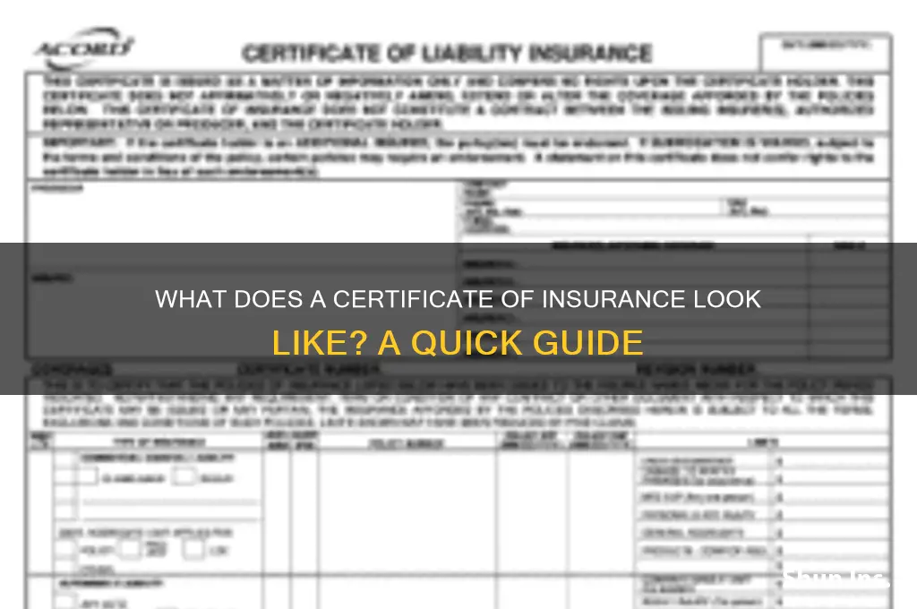 does a certificate of insurance look like