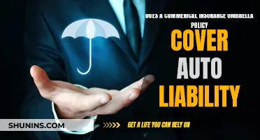 Commercial Umbrella Insurance: Auto Liability Coverage Explained