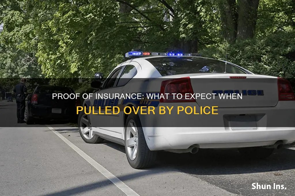does a cop ask you for proof of insurance