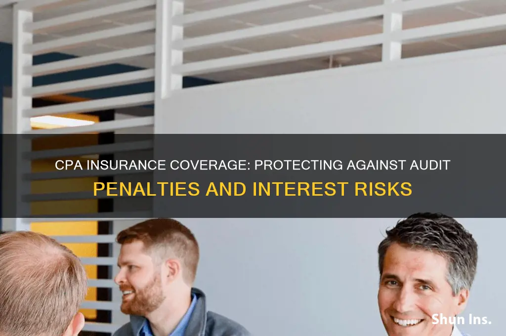 does a cpa have insurance for audits penaltiesinterest