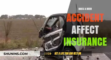Deer Accidents: Impact on Insurance and What to Expect