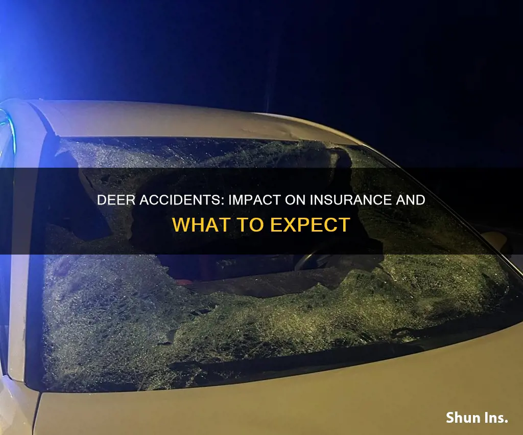 does a deer accident affect insurance