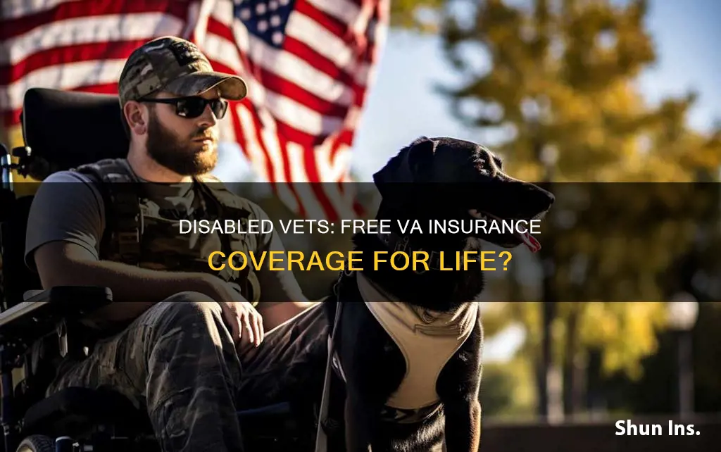 does a disabled vet get free va insurance for life