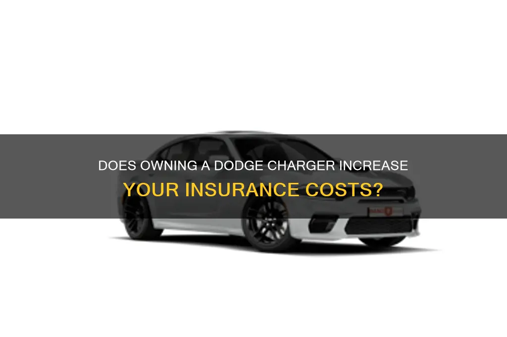 does a dodge charger increase insurance