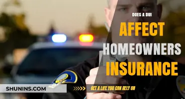 DUI Impact: What Homeowners Need to Know About Insurance