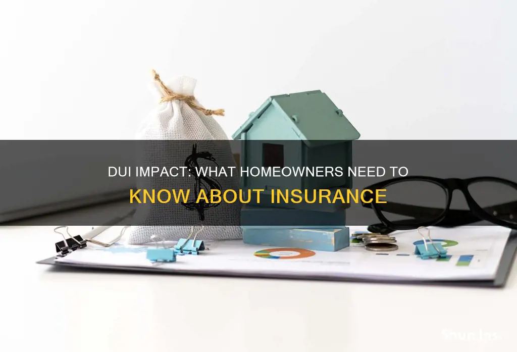 does a dui affect homeowners insurance