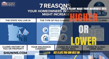 How Felony Charges Impact Your Insurance Rates
