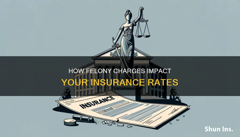 does a felony make your insurance rate higher or lower