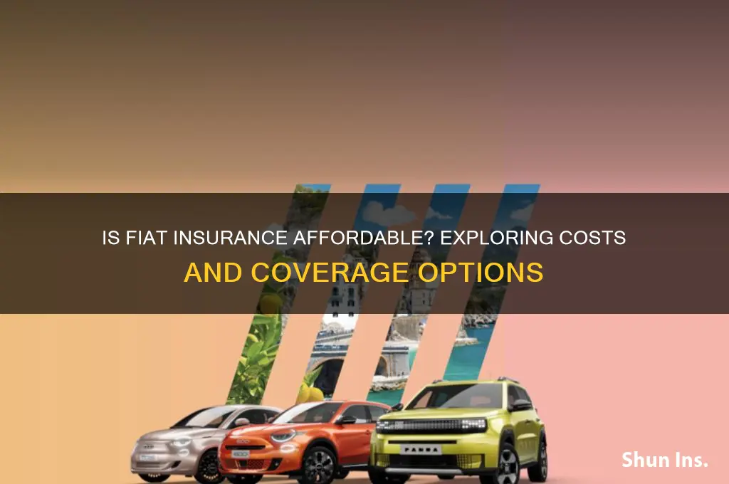 does a fiat have low insurance