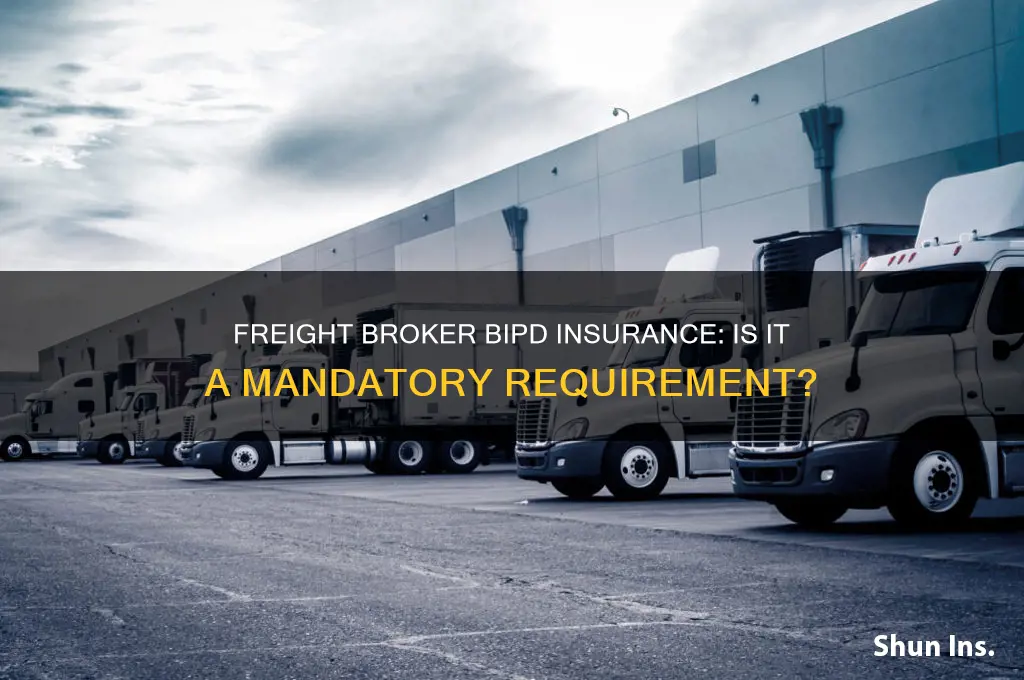 does a freight broker have to have bipd insurance