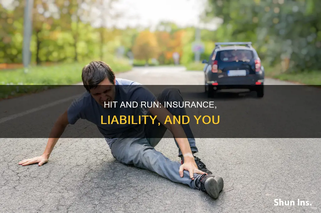 does a hit and run go against your insurance