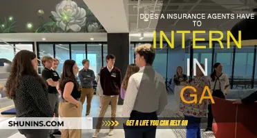 Insurance Agents: Do You Need to Intern in Georgia?