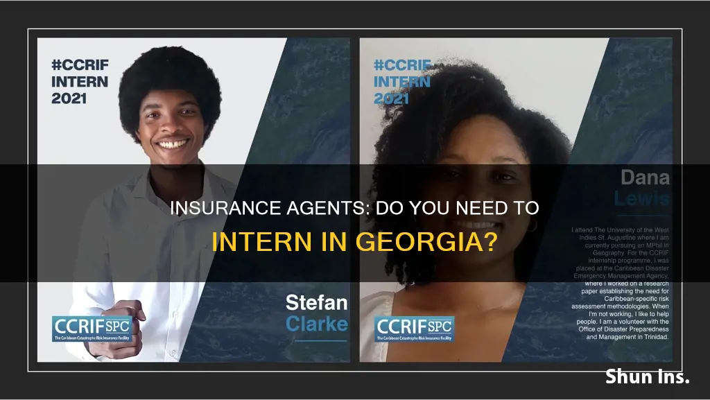 does a insurance agents have to intern in ga