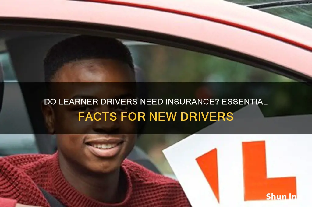 does a learner have to be insured