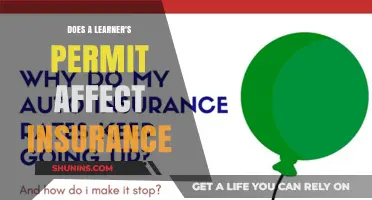 How a Learner's Permit Impacts Your Insurance Rates