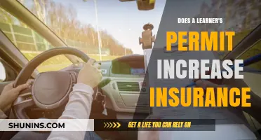 Does a Learner's Permit Impact Your Car Insurance Rates?