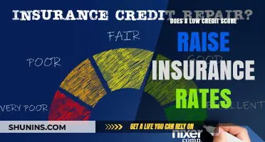 Credit Score Impact: Insurance Rates and You