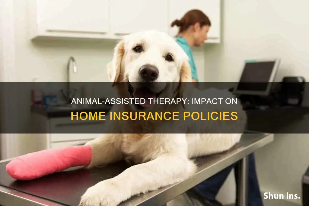 does a medical animal override home insurance
