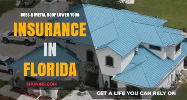 Metal Roofs: Florida Insurance Savings?