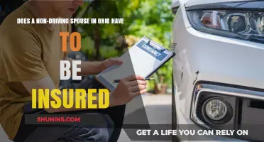 Ohio Insurance Requirements: Non-Driving Spouse Coverage Explained
